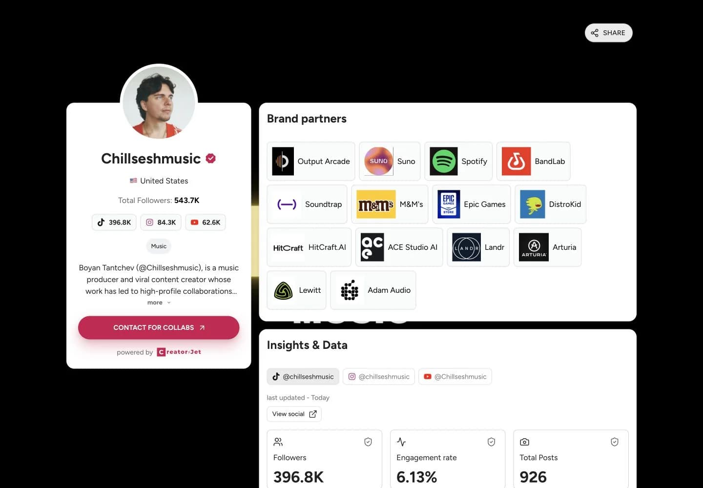 Media kit example from Chillseshmusic