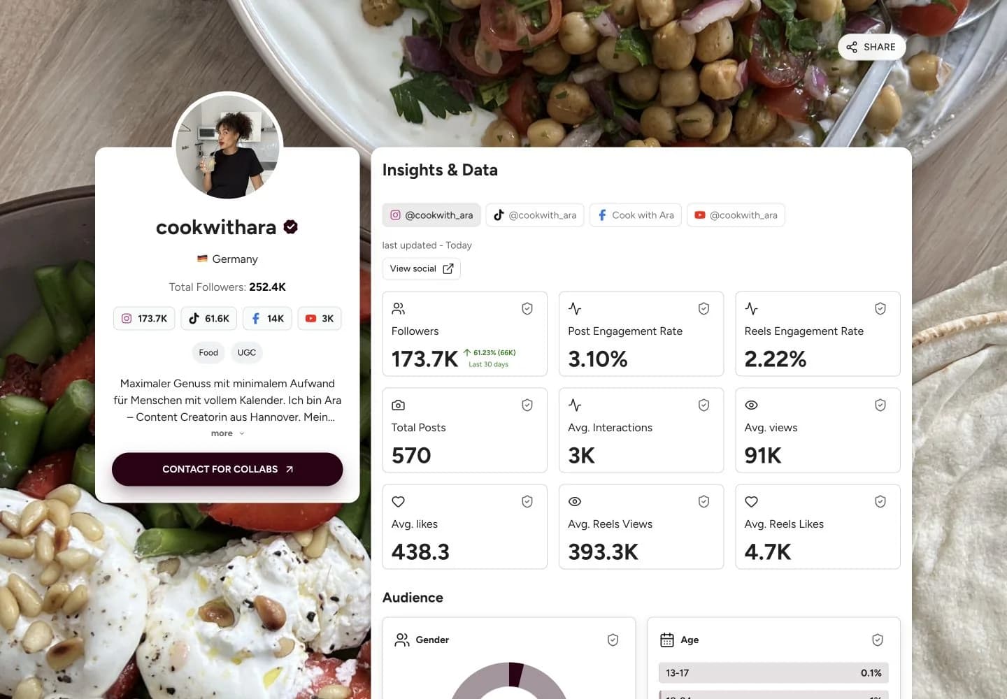 Media kit example from cookwithara