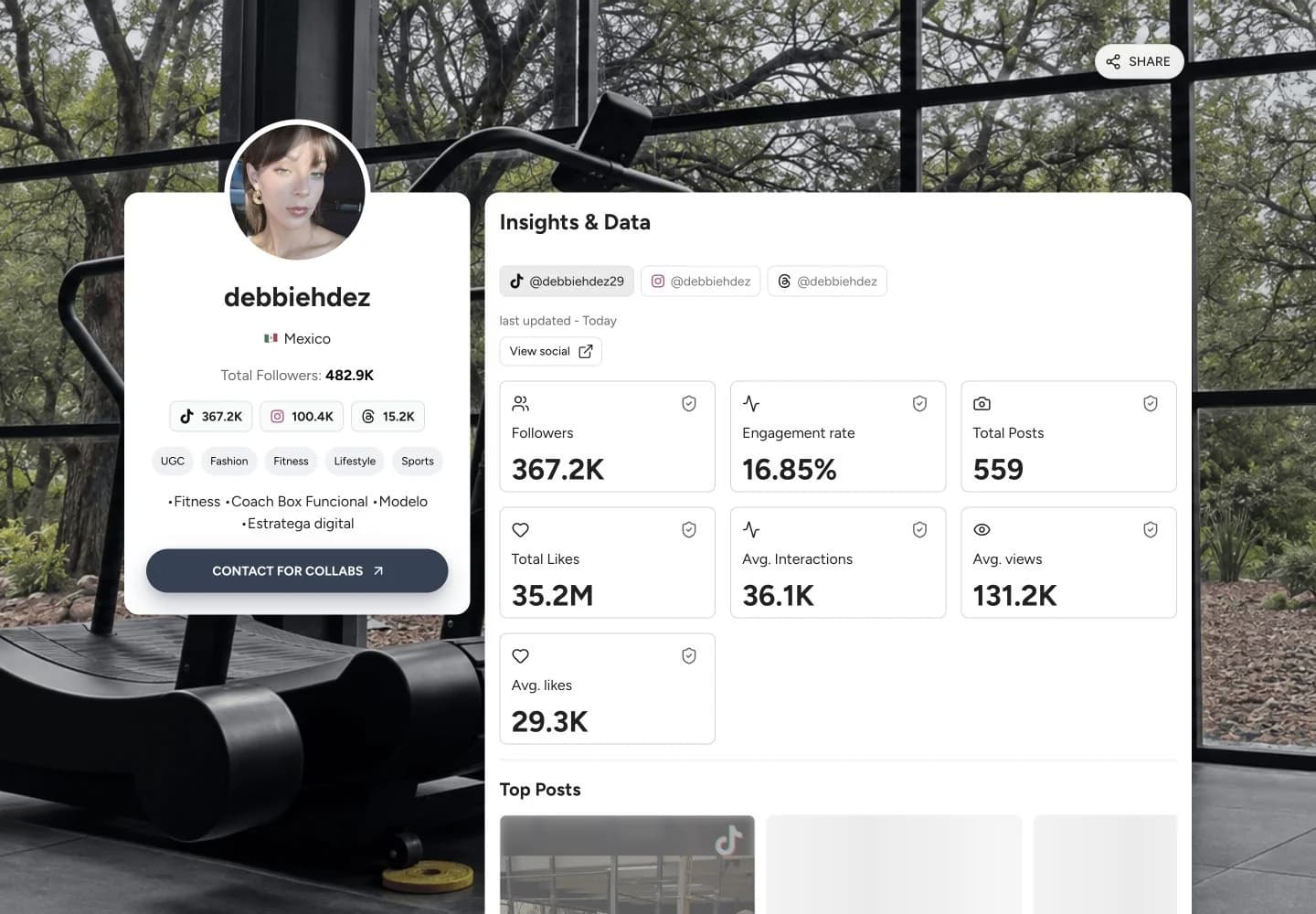 Media kit example from debbiehdez
