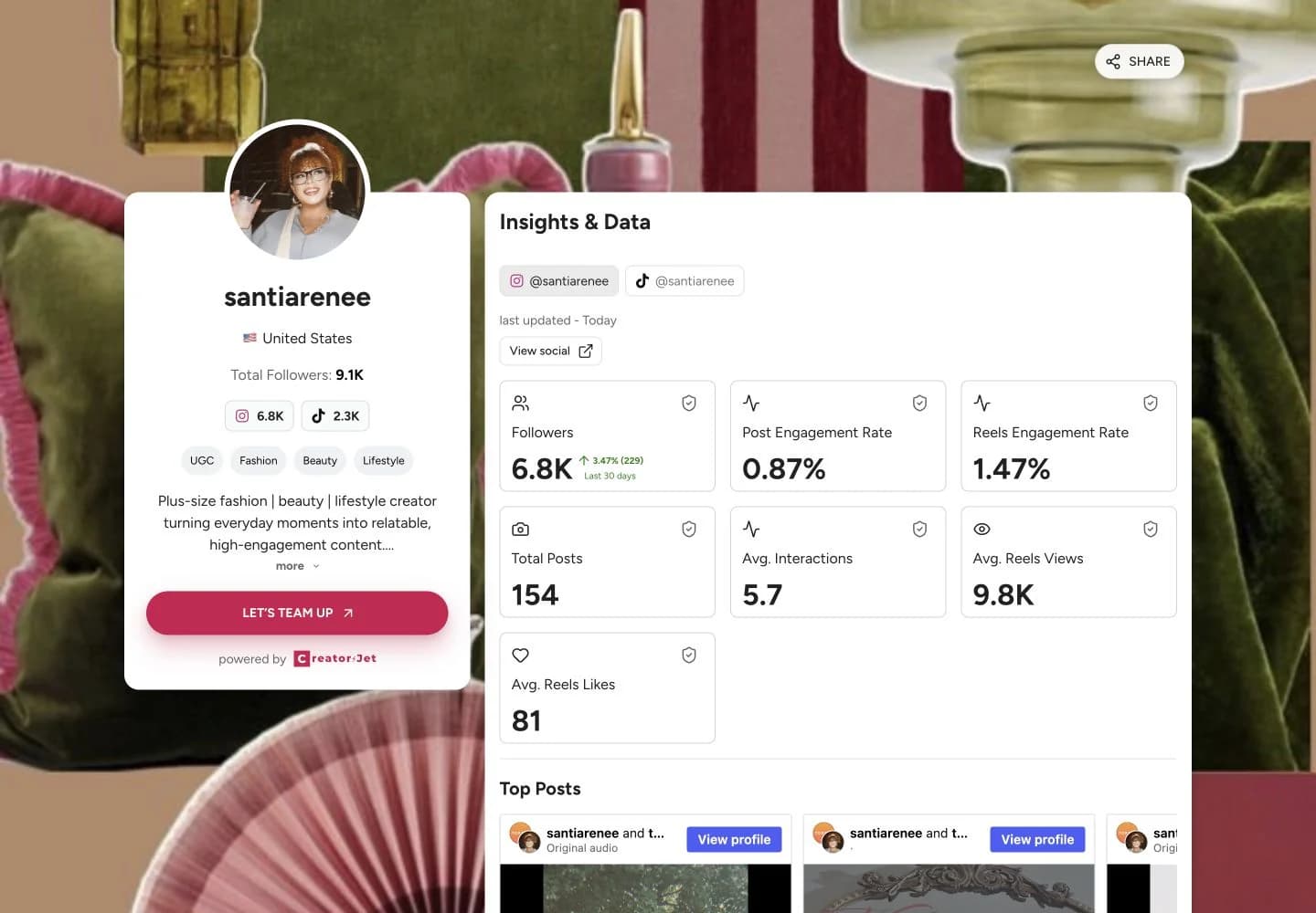 Media kit example from santiarenee