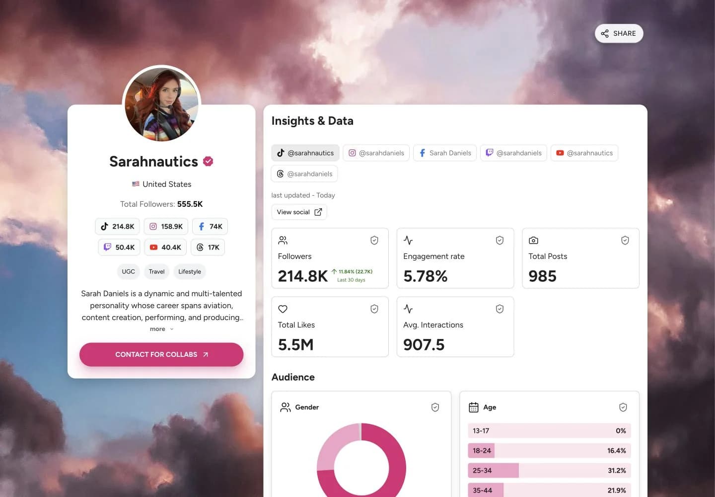 Media kit example from Sarahnautics