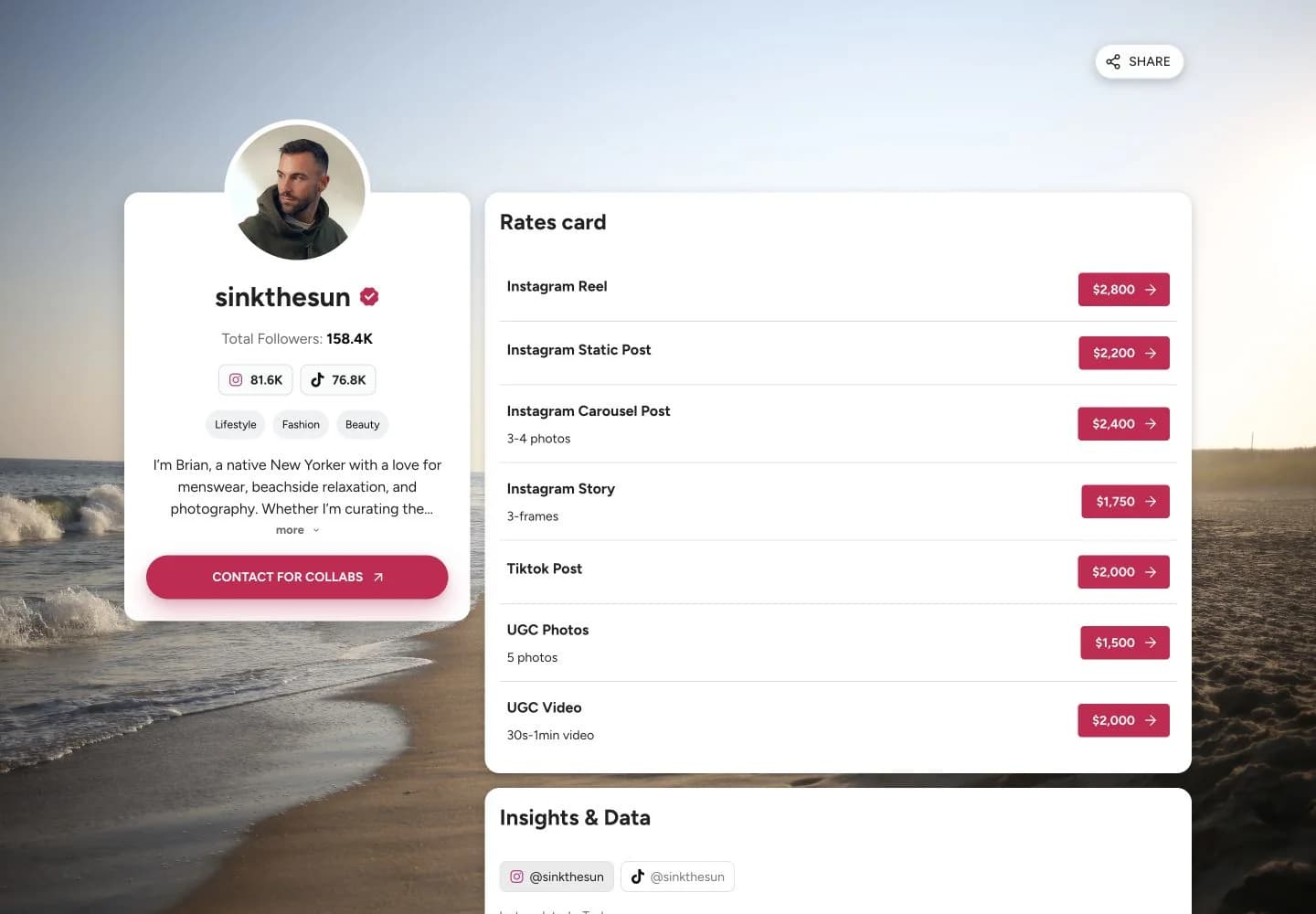 Media kit example from sinkthesun