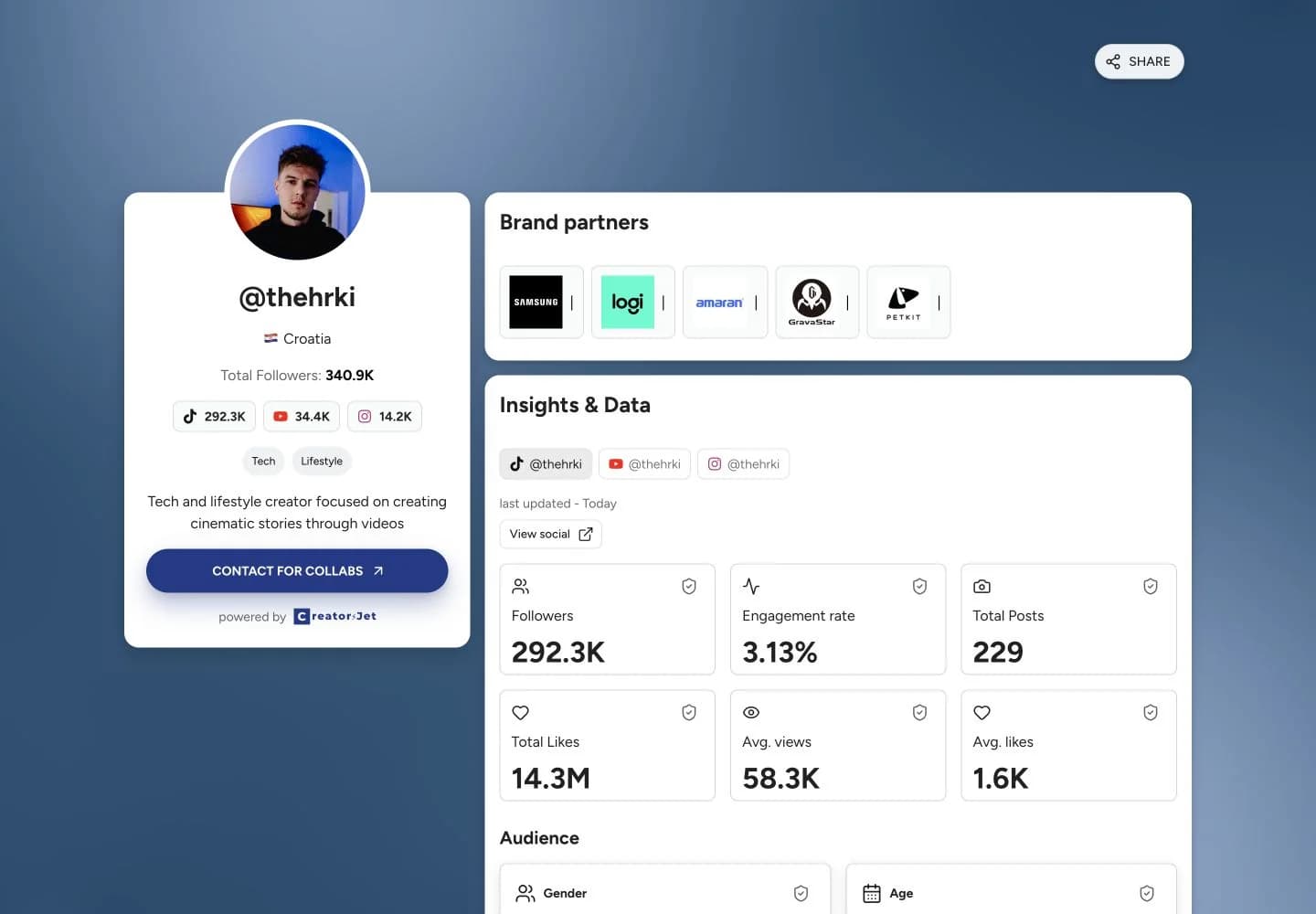 Media kit example from @thehrki