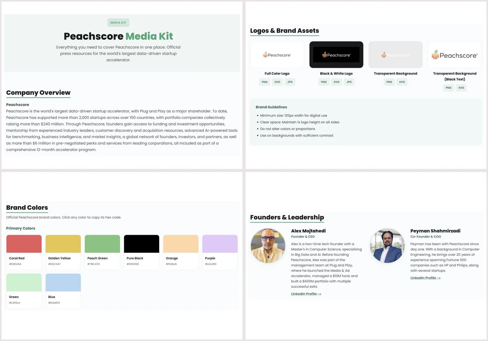 Peachscore company overview, logo variants, brand colors and leadership profiles