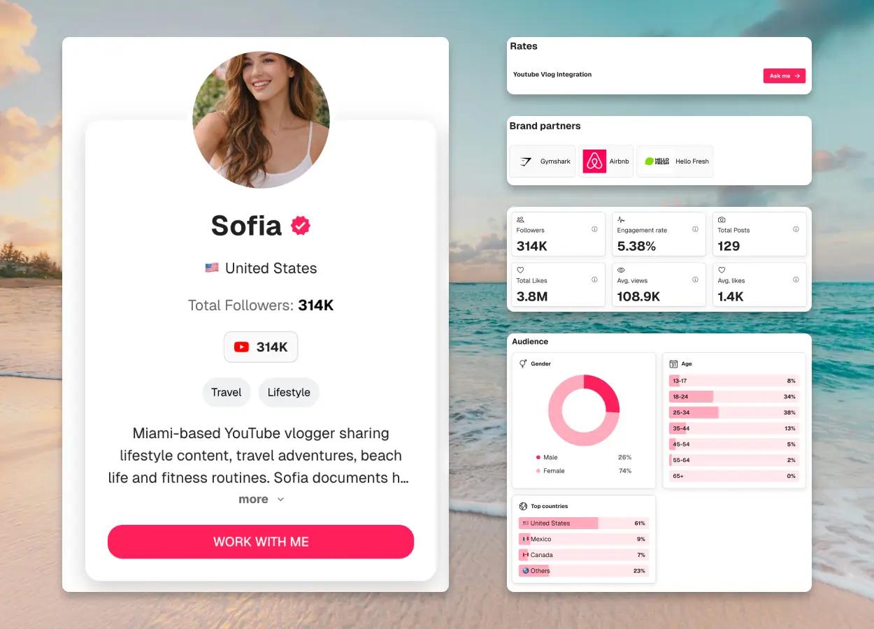 YouTube media kit preview