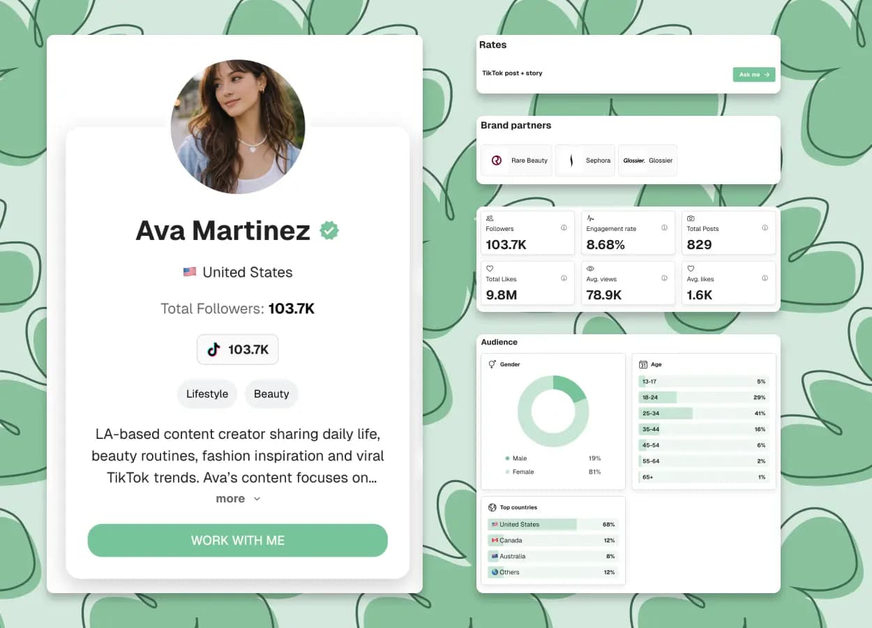 TikTok media kit preview