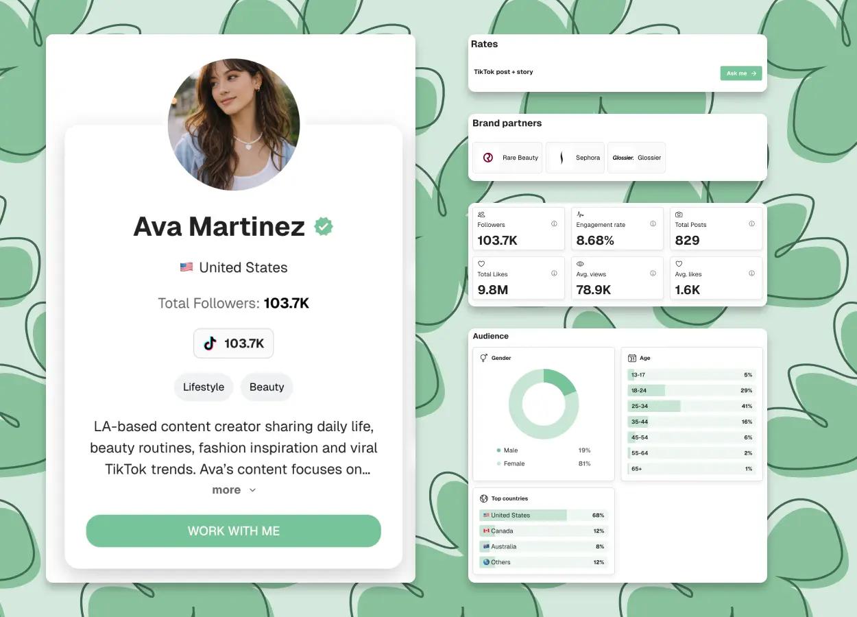 TikTok media kit preview