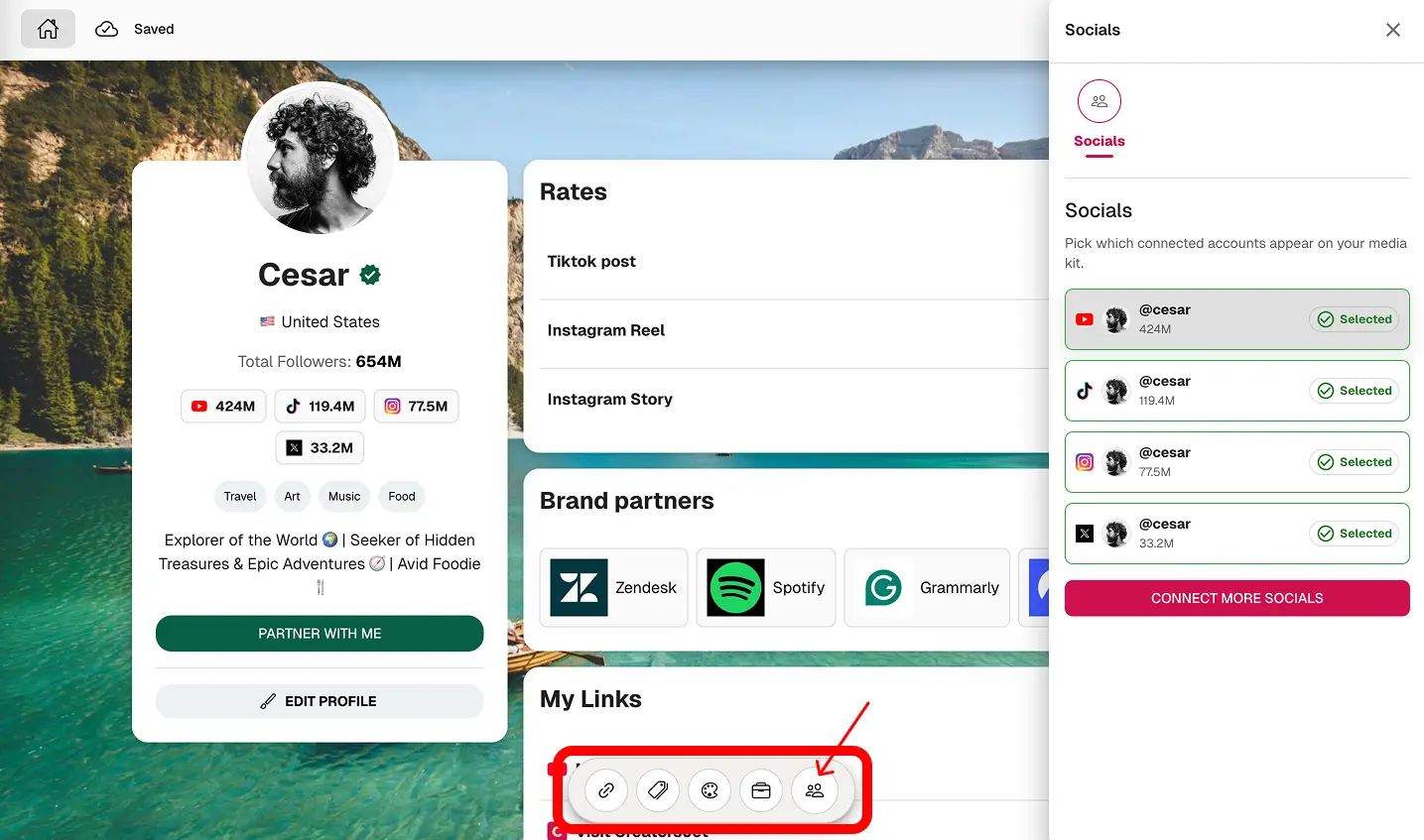 Choose socials to display